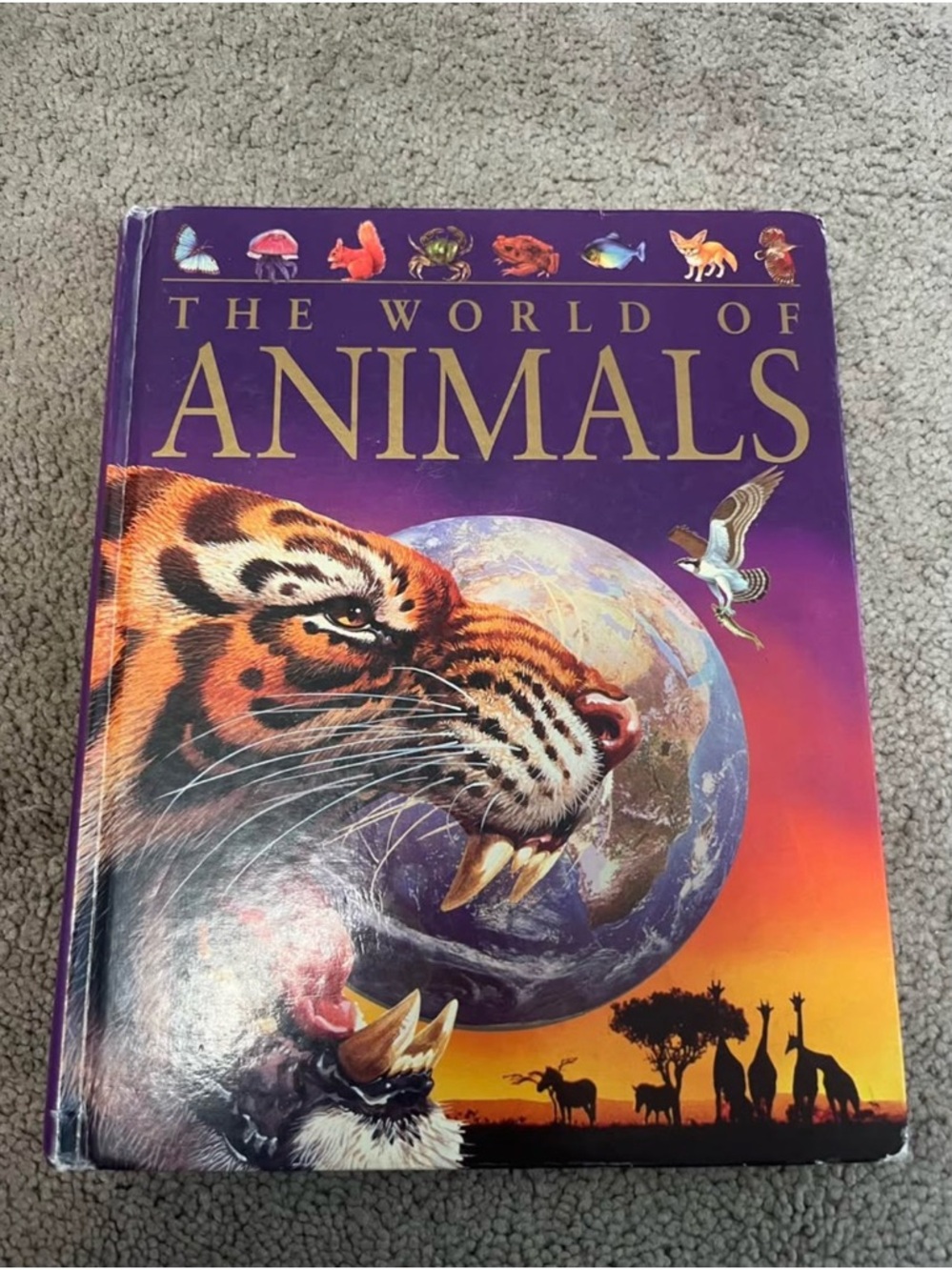 The World of Animals Hardcover Book Parragon
